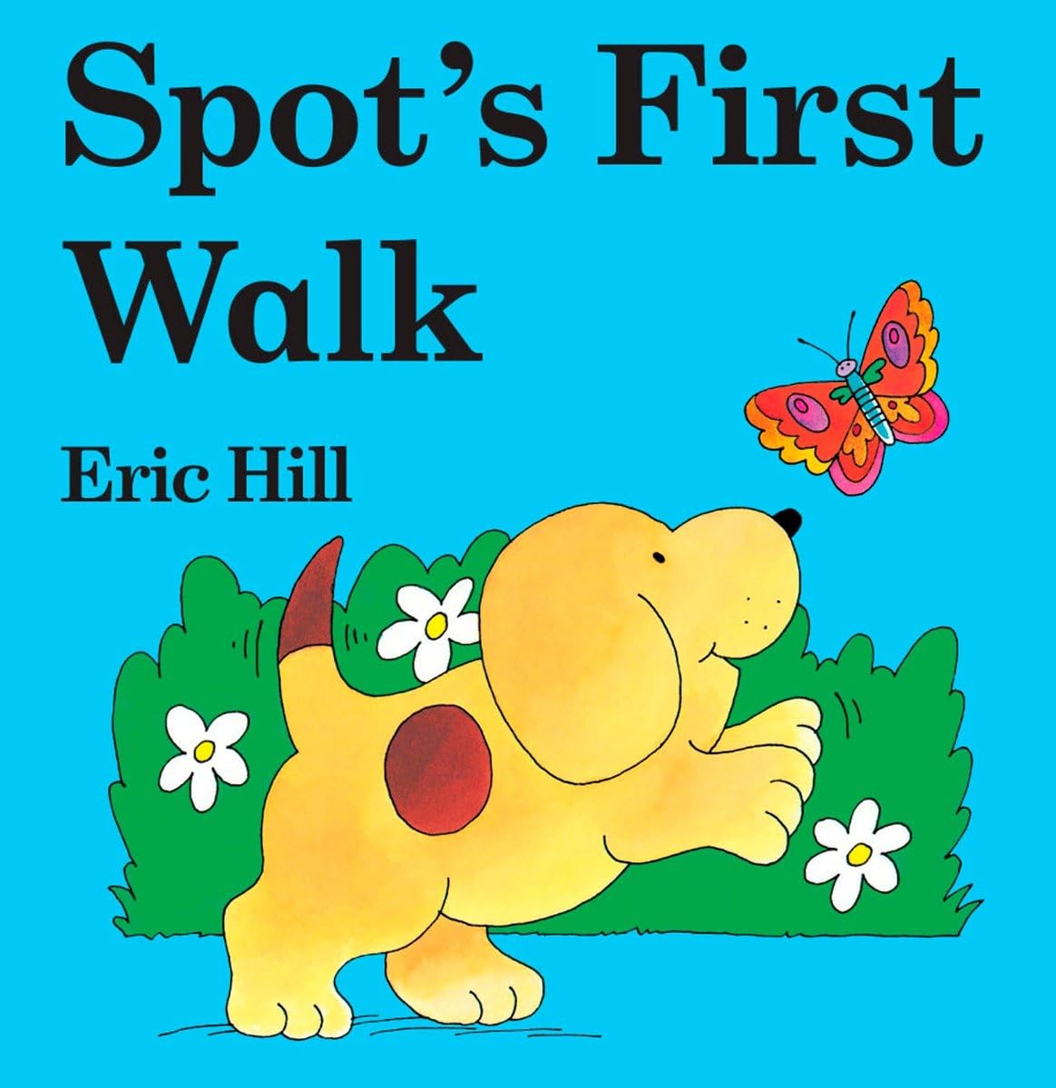 Spot's First Walk - 2693