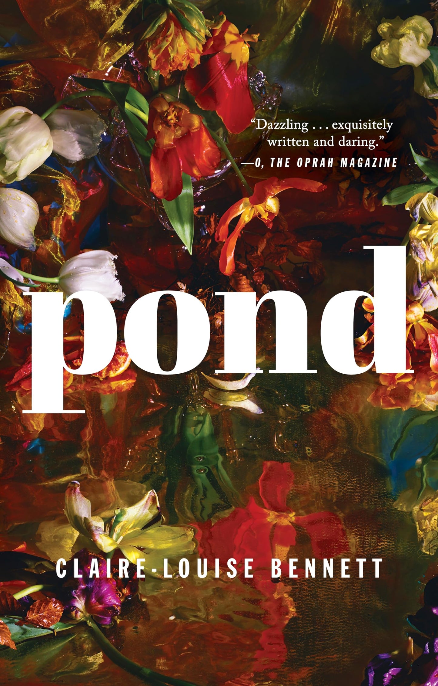 Pond - 1342