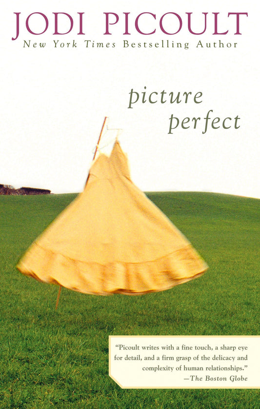 PICTURE PERFECT - 9045