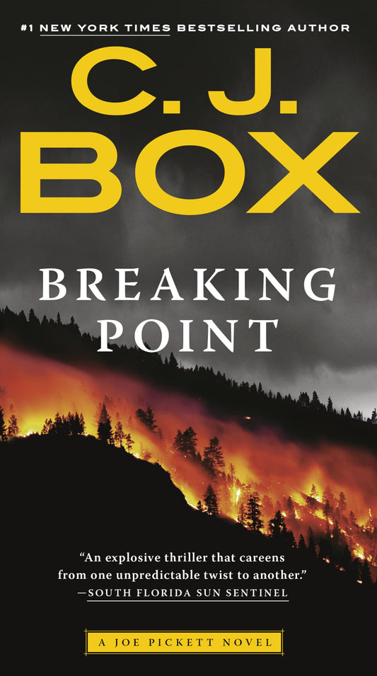Breaking Point (A Joe Pickett Novel) - 5731