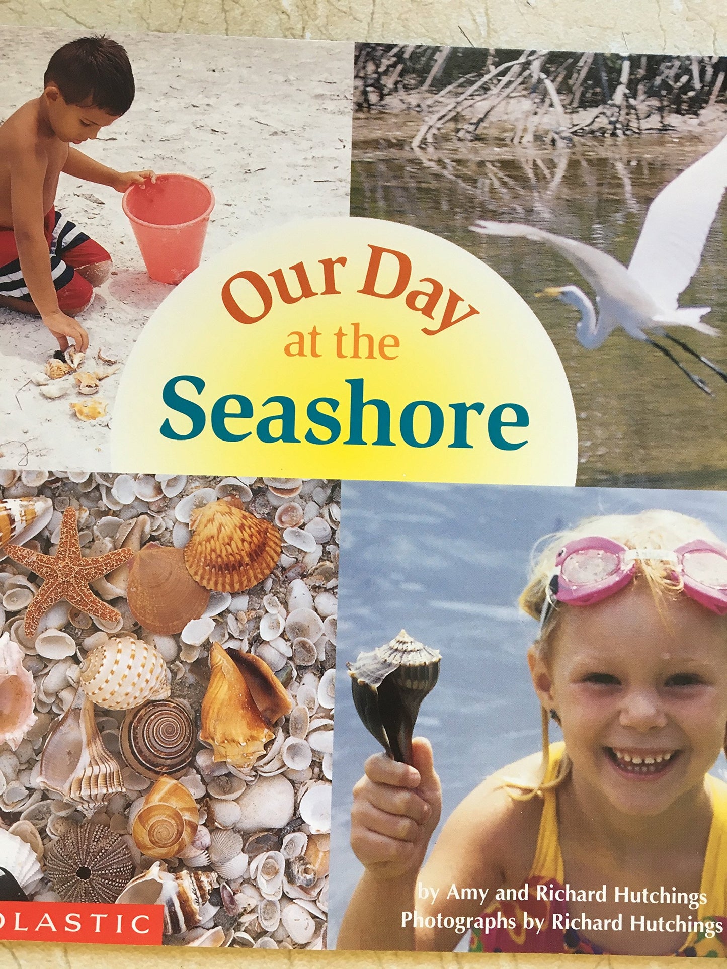 Our Day at the Seashore