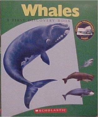 Whales- A First Discovery Book
