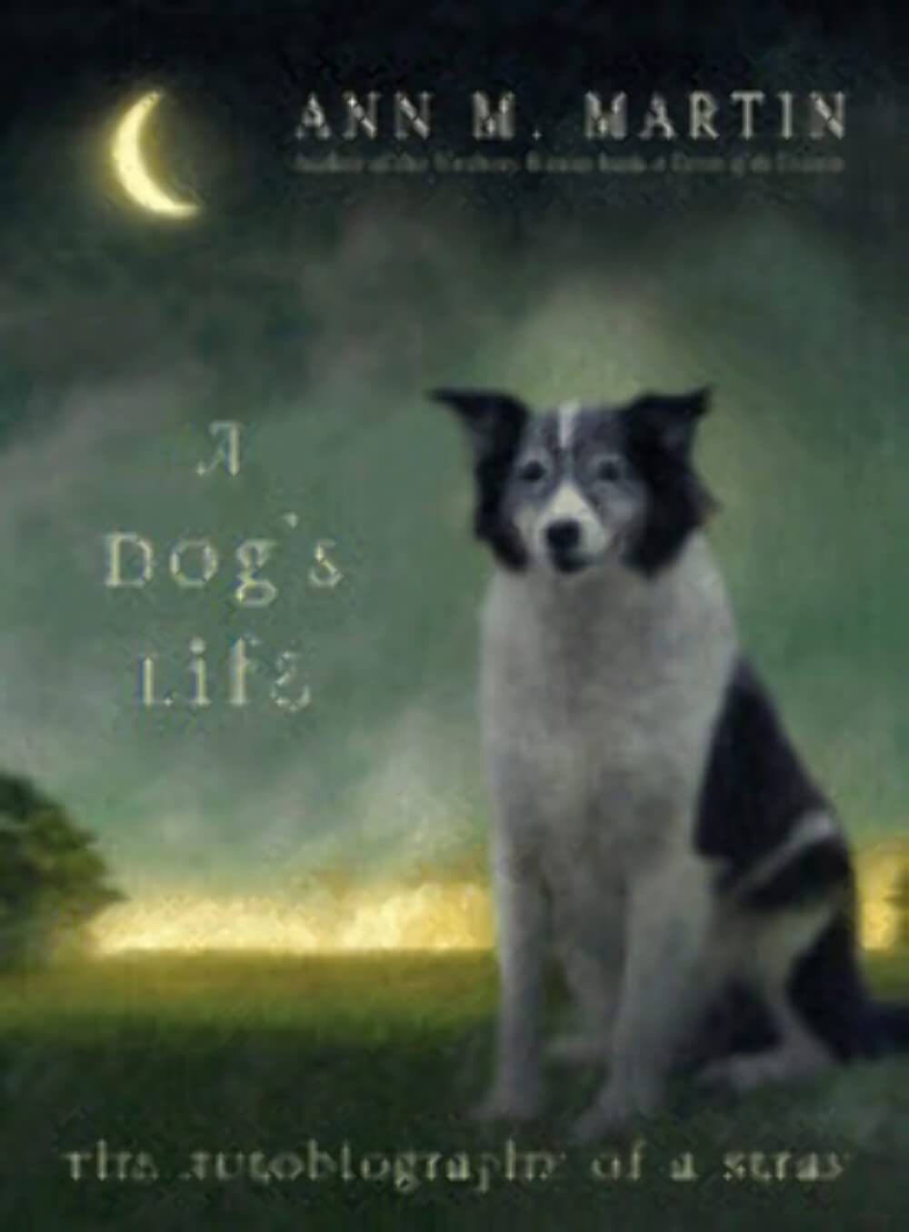 A Dog's Life: The Autobiography Of A Stray