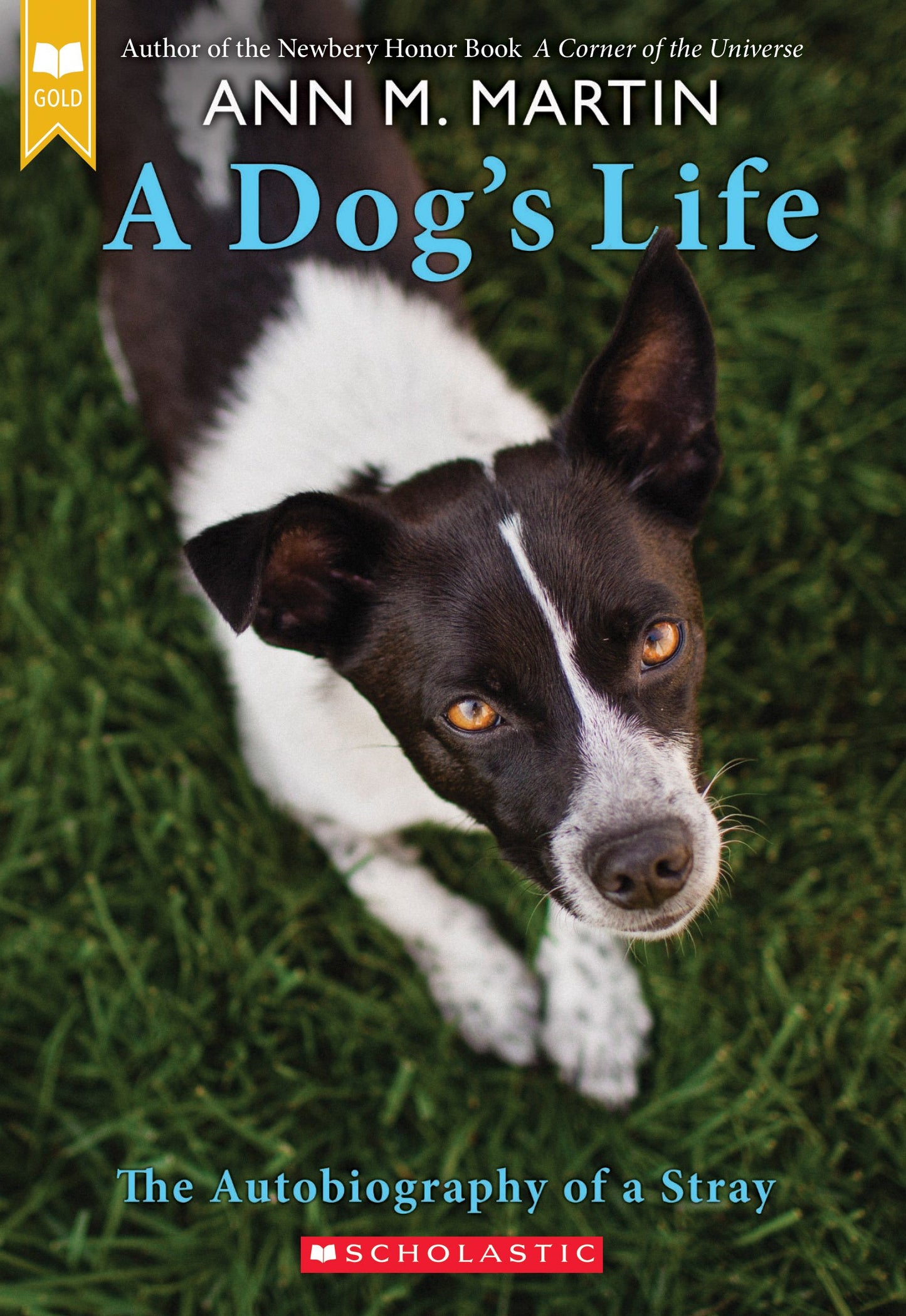 A DOG'S LIFE: AUTOBIOGRAPHY OF A