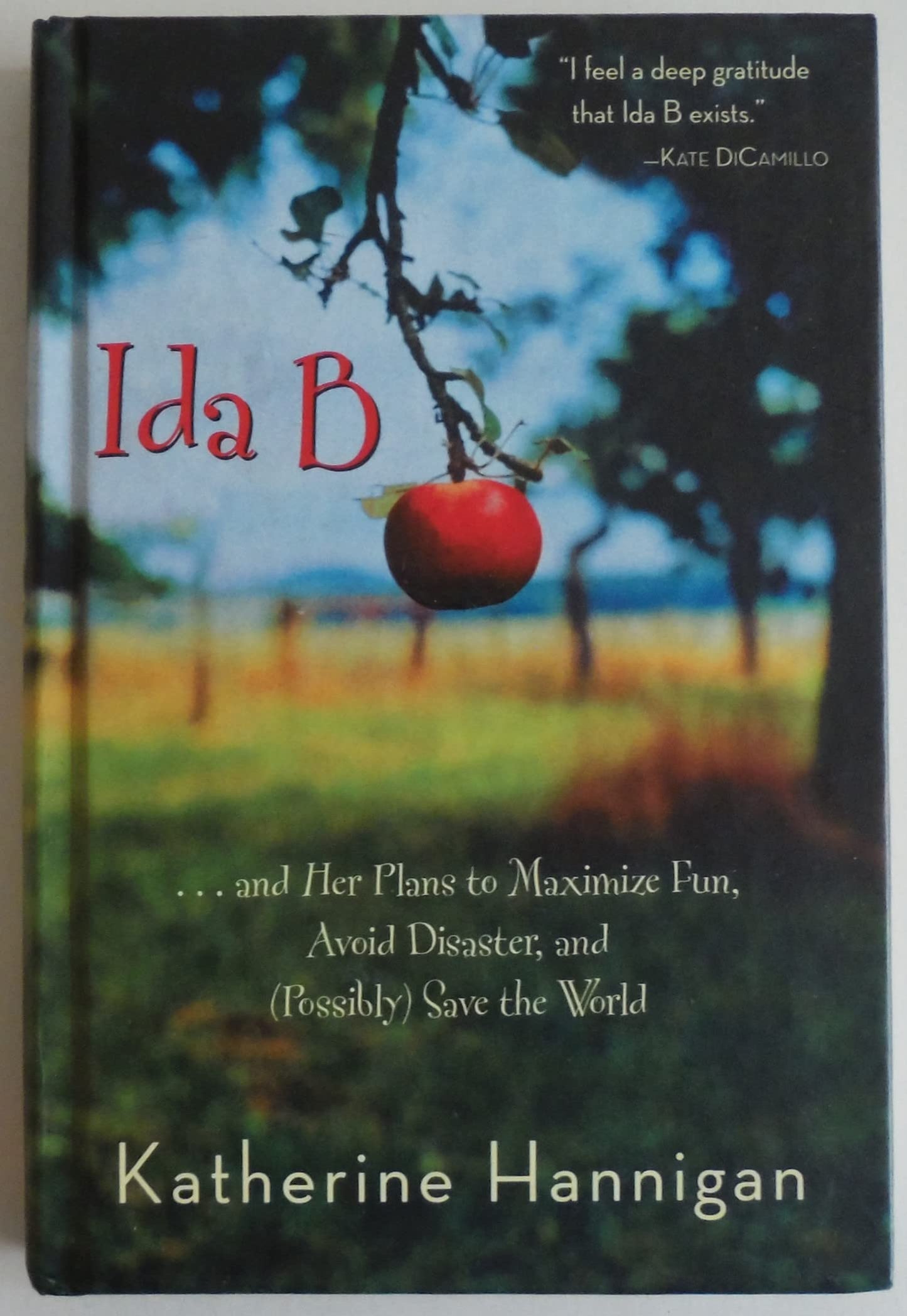 IDA B AND HER PLANS TO MAXIMIZE