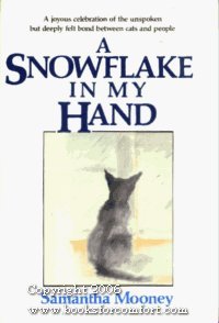 A snowflake in my hand