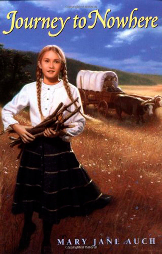 Journey to Nowhere - 8545