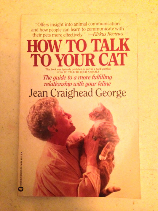 How to Talk to Your Cat