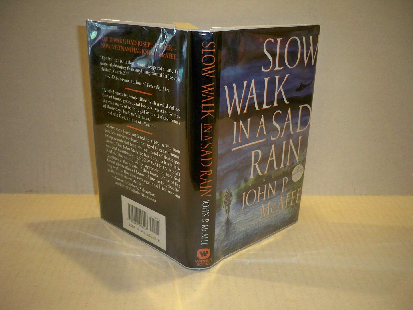 Slow Walk in a Sad Rain - 6878