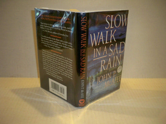 Slow Walk in a Sad Rain - 6878