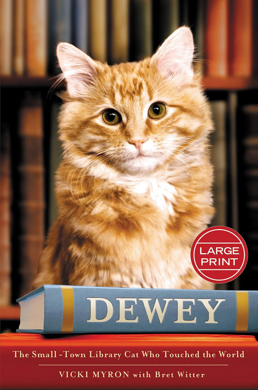 Dewey: The Small-Town Library Cat Who Touched the World