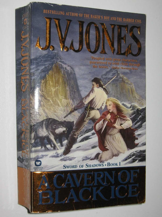 A Cavern of Black Ice (Sword of Shadows, Book 1)