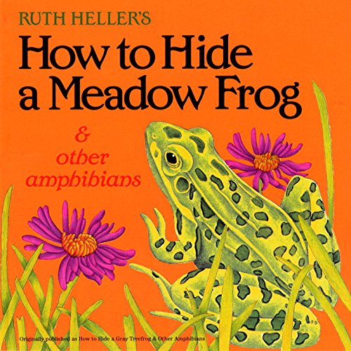 How to Hide a Meadow Frog and Other Amphibians (Reading Railroad) - 852