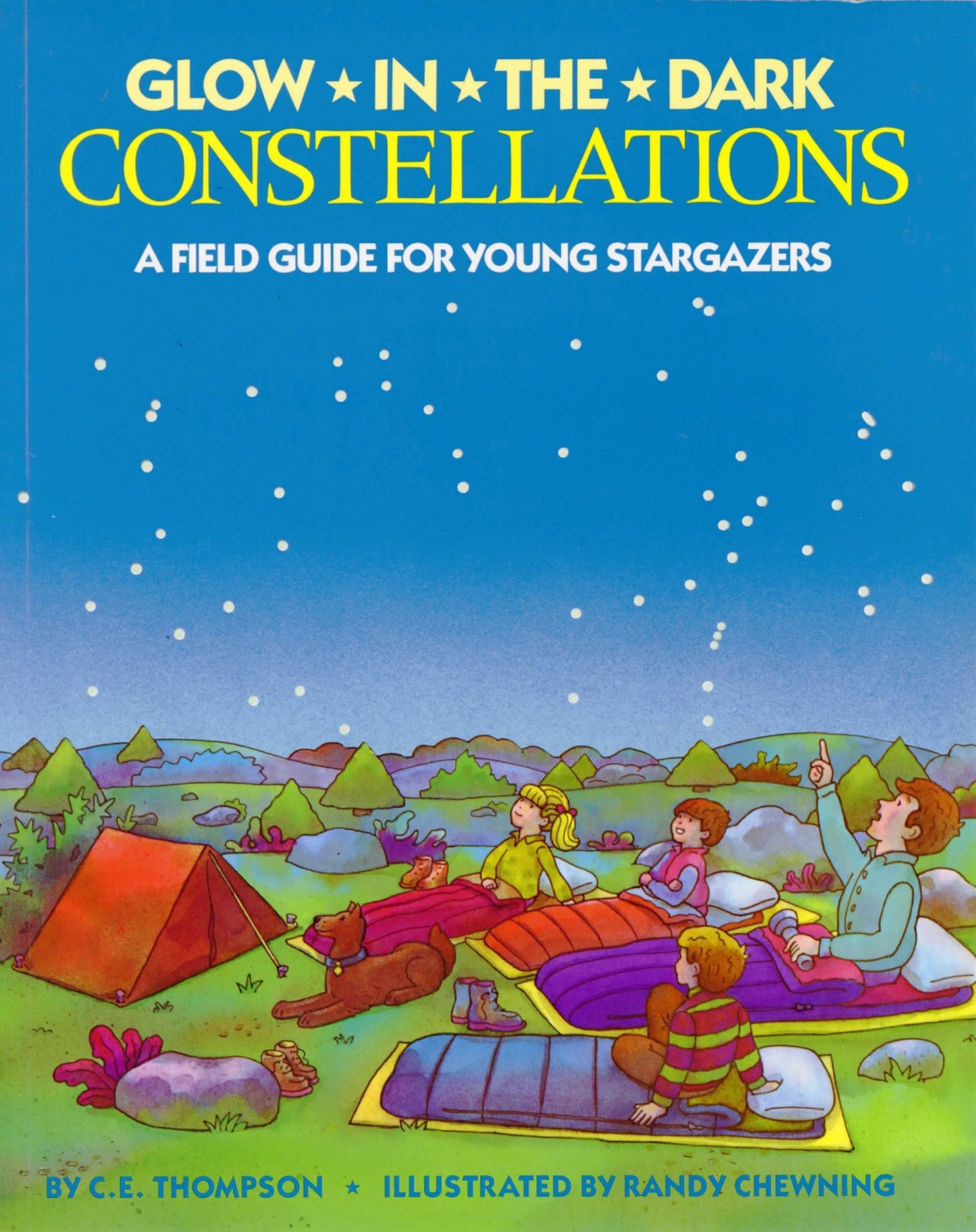Glow-in-the-Dark Constellations - 4583