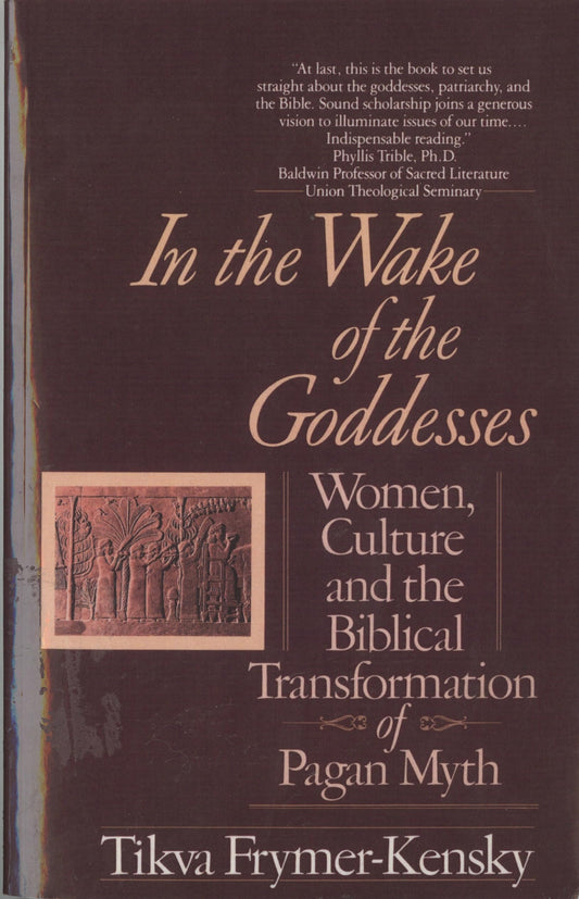 In the Wake of the Goddesses: Women, Culture and the Biblical Transformation of Pagan Myth - 1497