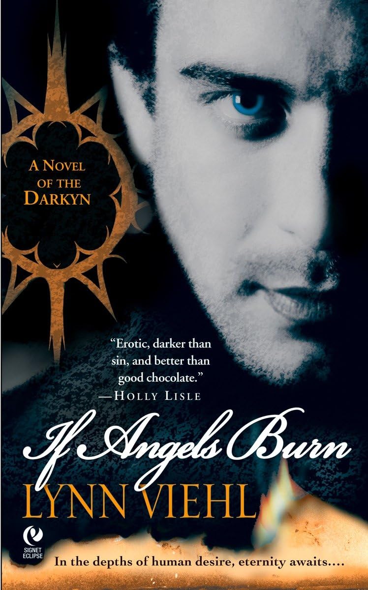 If Angels Burn: A Novel of the Darkyn - 294