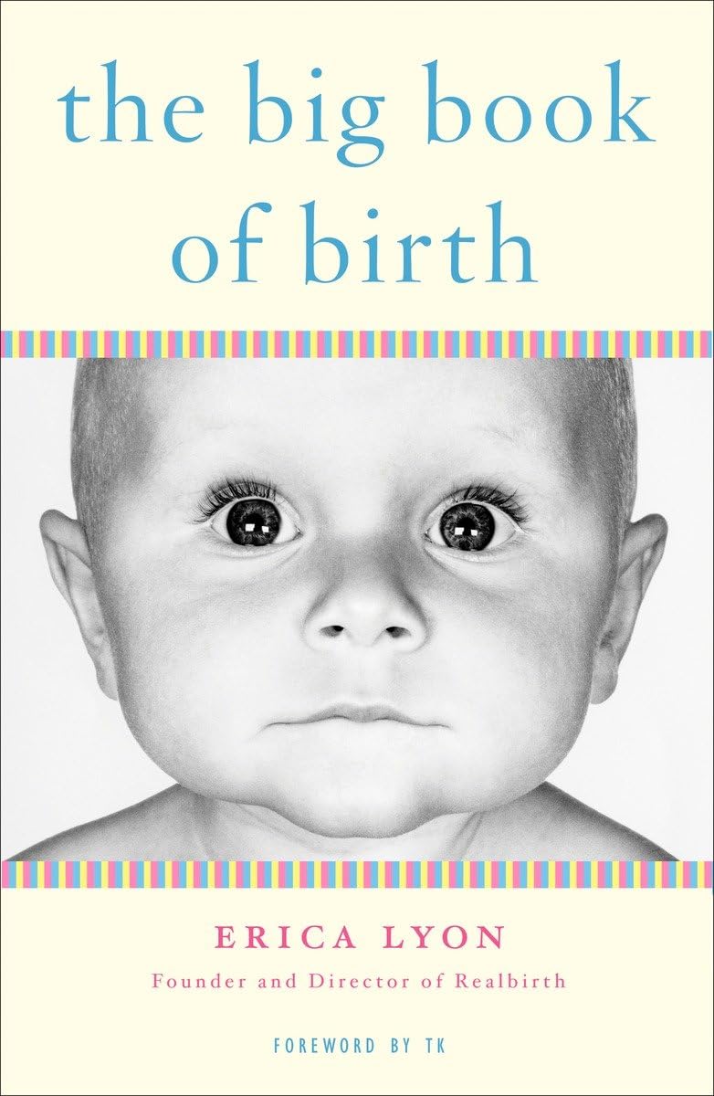 The Big Book of Birth - 9822