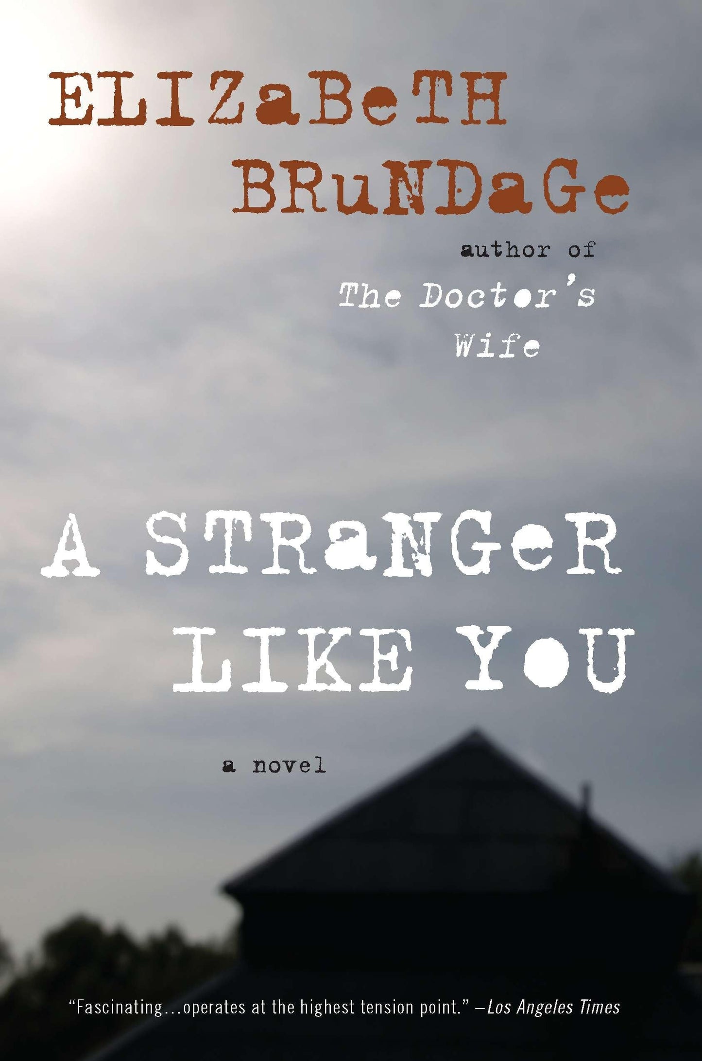 A Stranger Like You: A Novel