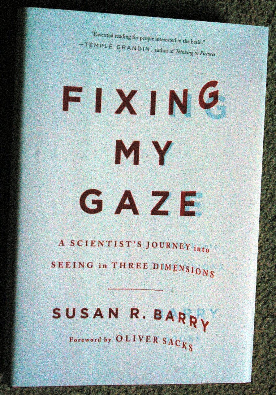 Fixing My Gaze: A Scientist's Journey into Seeing in Three Dimensions