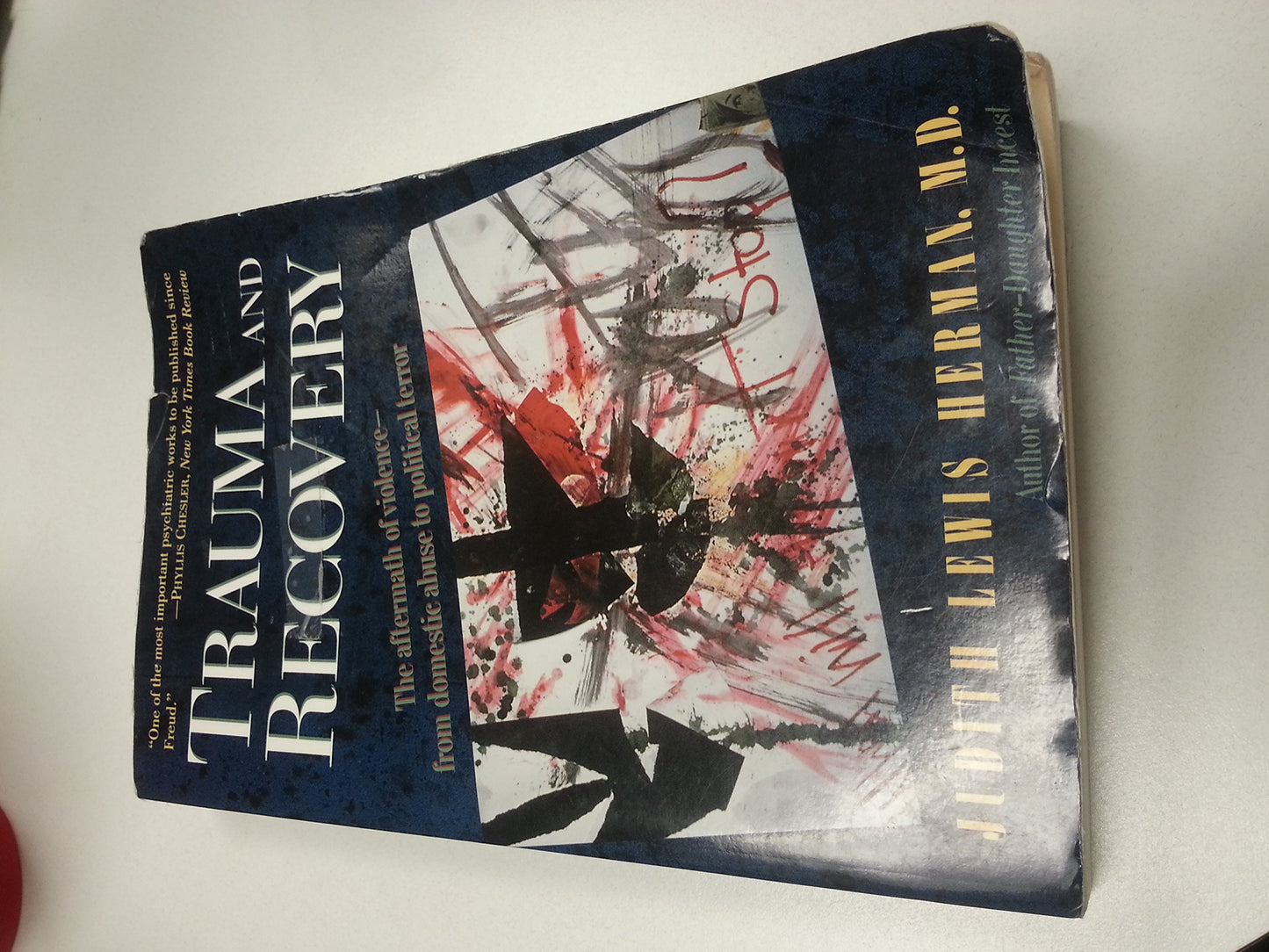 Trauma And Recovery: The Aftermath Of Violence- From Domestic Abuse To Political Terror