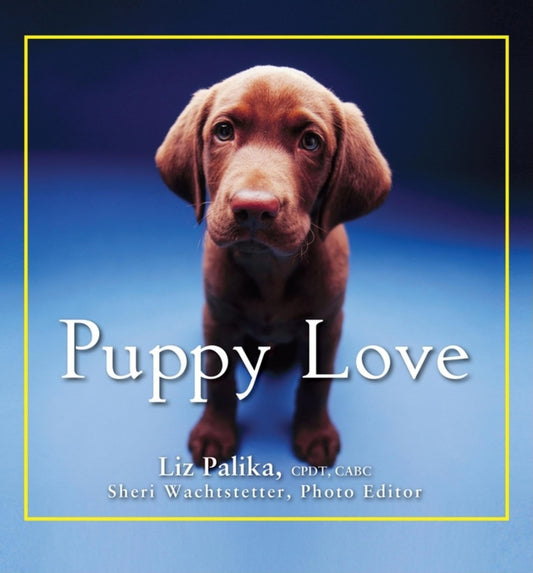 Puppy Love - 3871