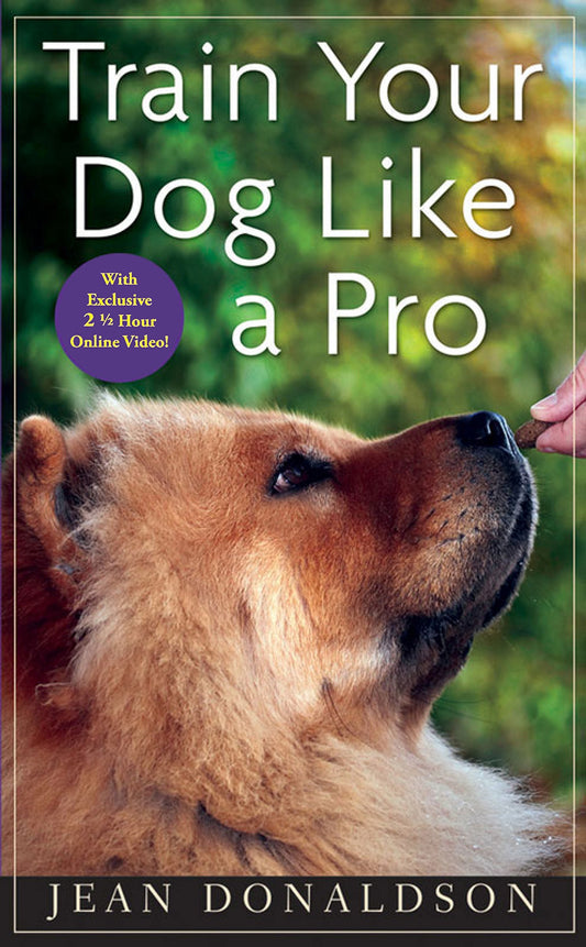 Train Your Dog Like a Pro - 1213
