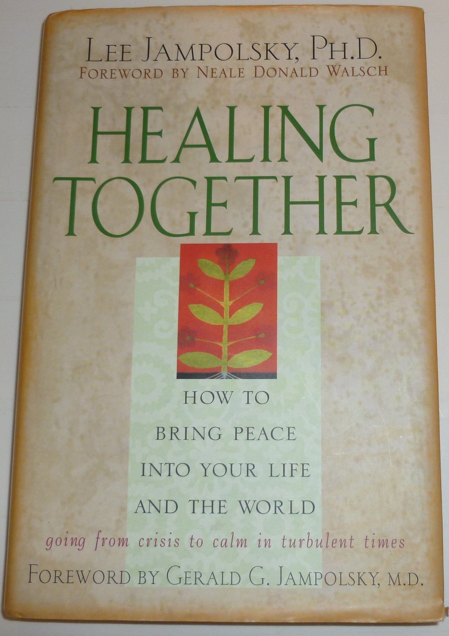 Healing Together: How to Bring Peace into Your Life and the World