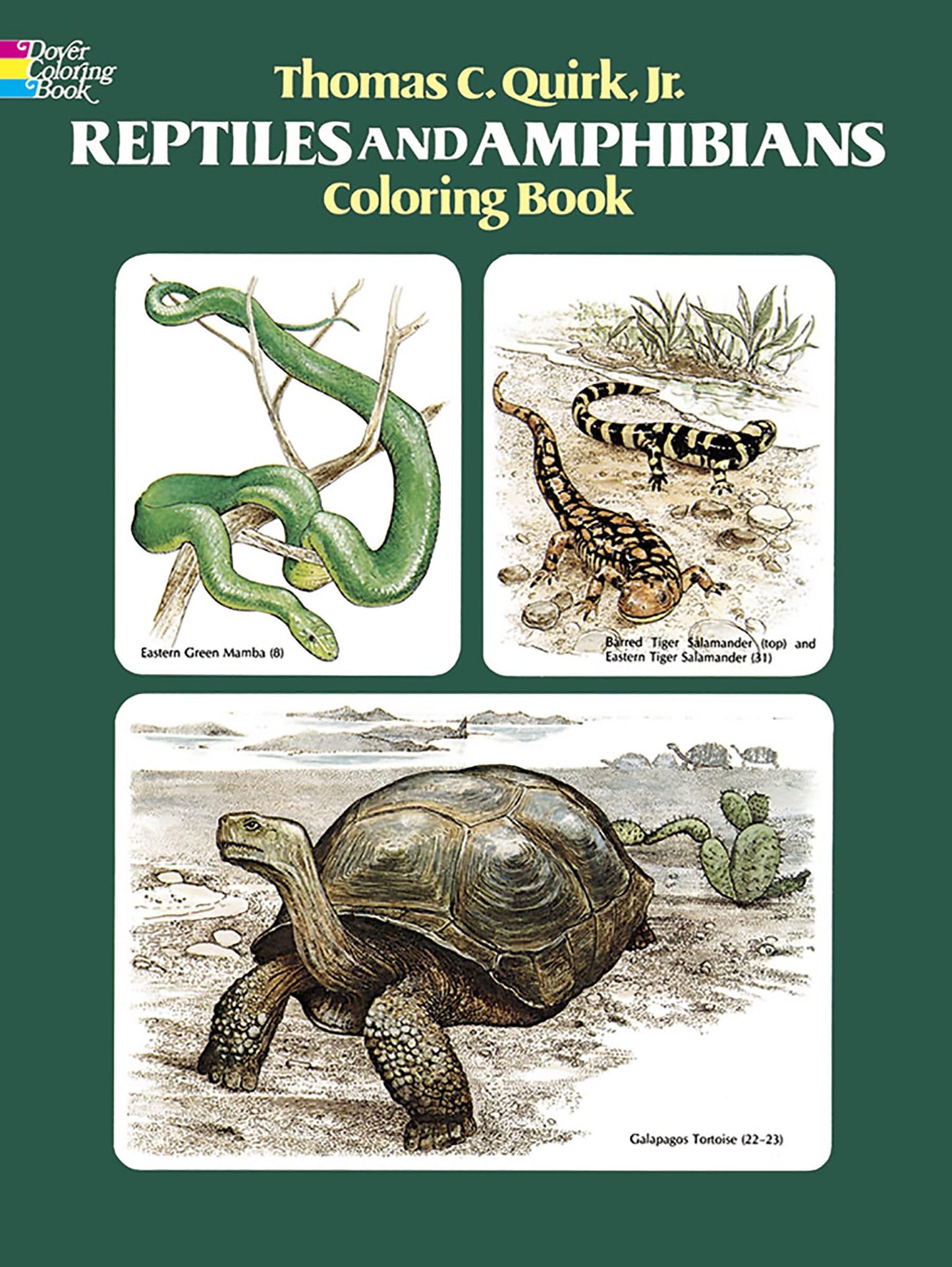 Reptiles and Amphibians Coloring Book - 6804