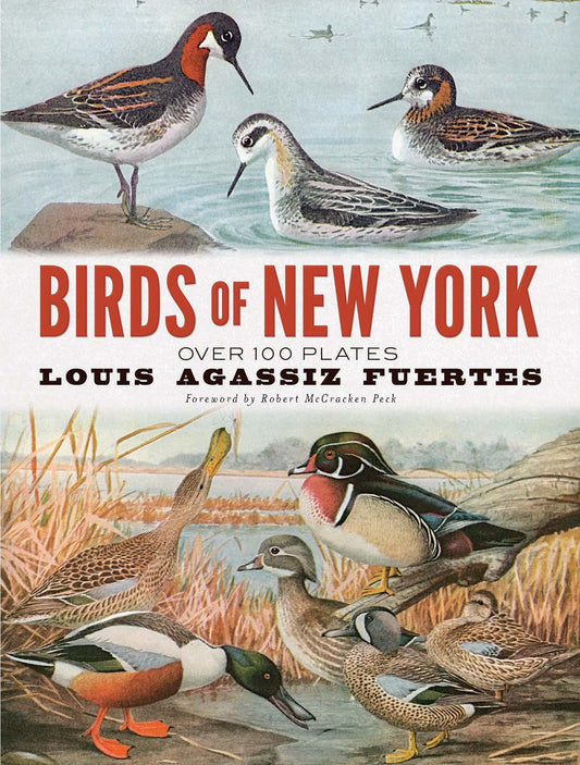Birds of New York: Over 100 Plates - 60