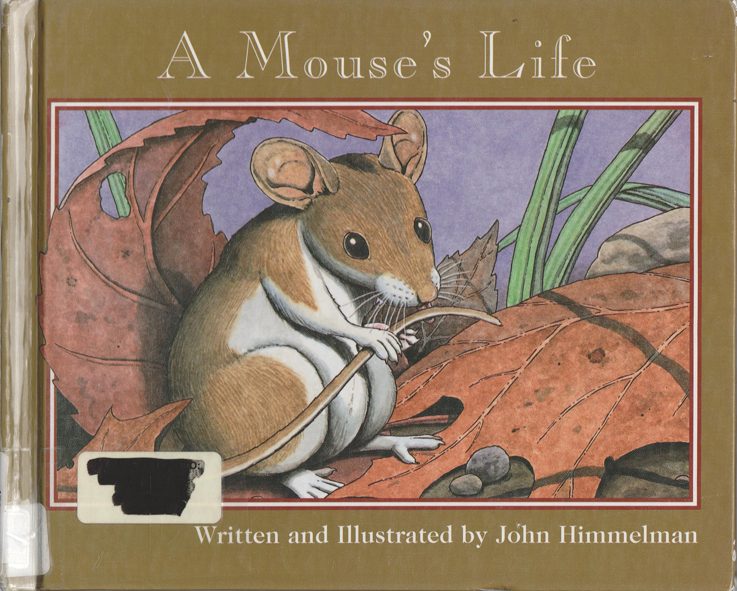 A Mouse's Life (Nature Upclose)