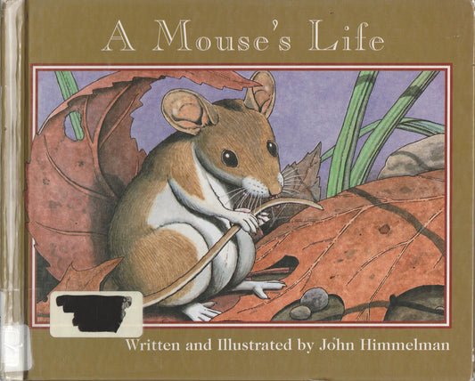 A Mouse's Life (Nature Upclose)