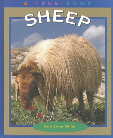 Sheep (True Books: Animals)