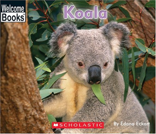 Koala (Welcome Books)