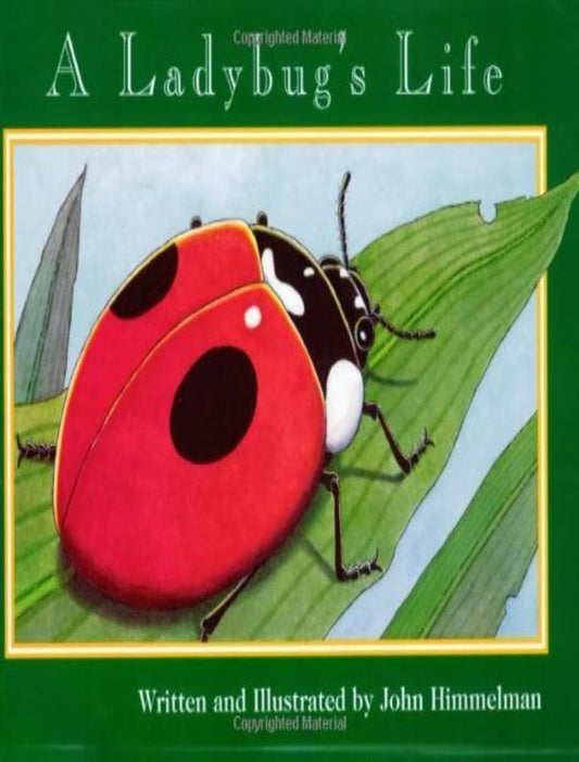 A Ladybug's Life (Nature Upclose) - 8108