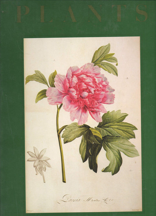 Classic Natural History Prints: Plants - 9936