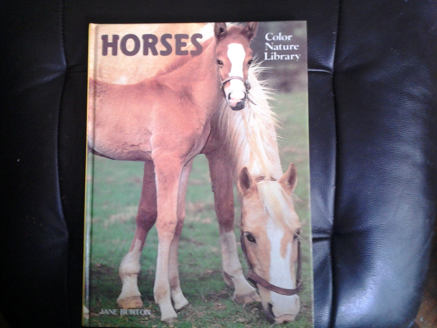 Horses: Color Nature Library (ILLUSTRATED - 3382