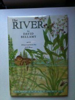 OUR CHANGING WORLD THE RIVER