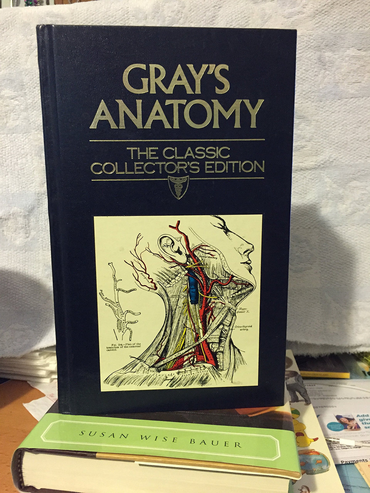 Grays Anatomy: Deluxe