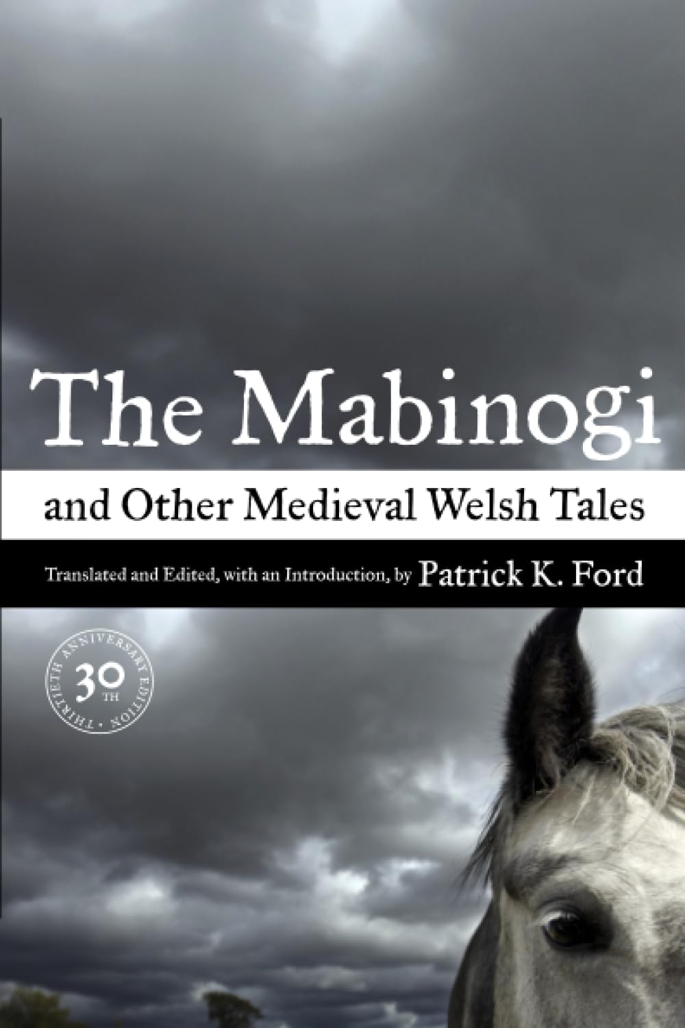 Mabinogi and Other Medieval Welsh Tales