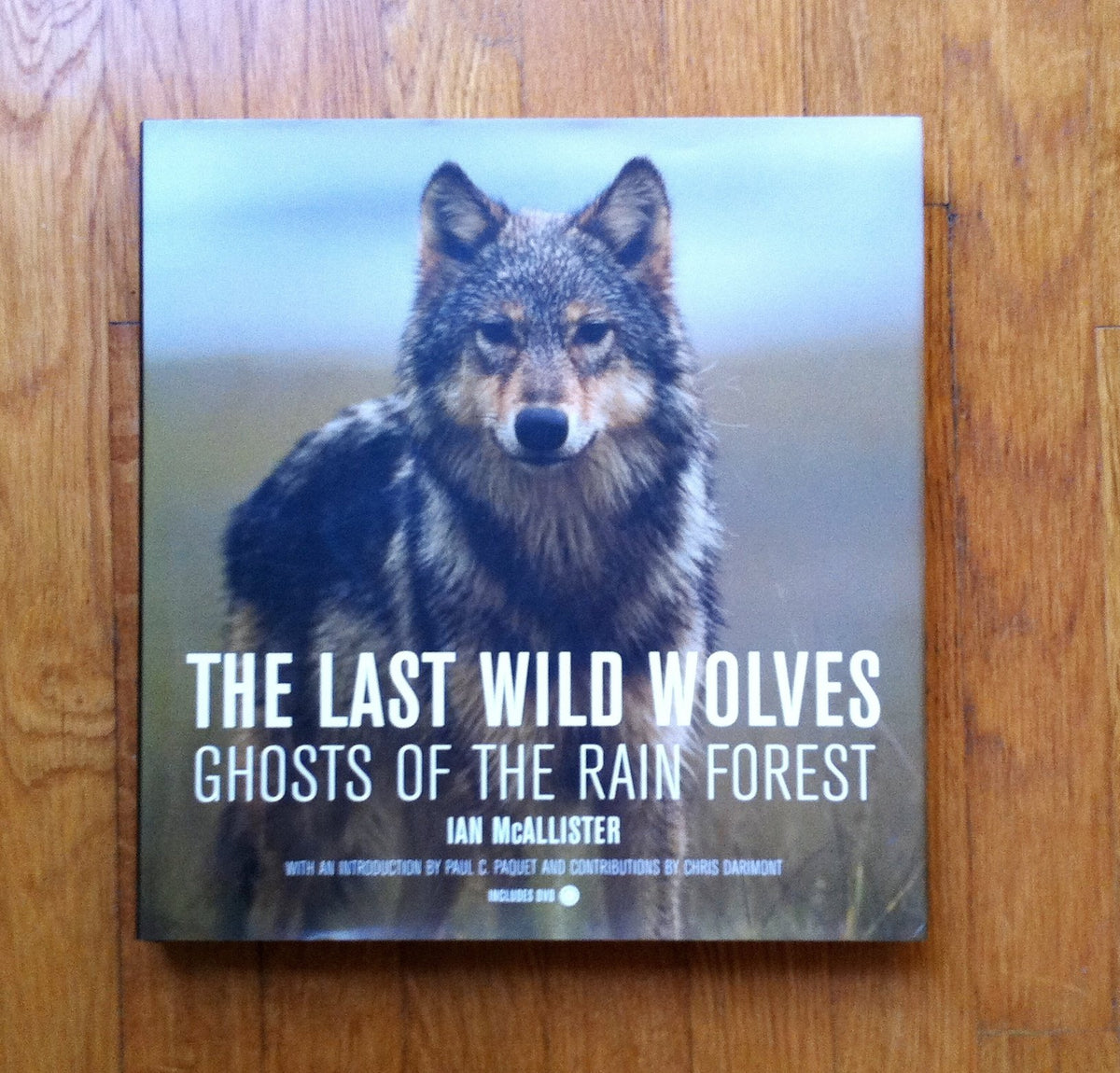 The Last Wild Wolves: Ghosts of the Rain Forest