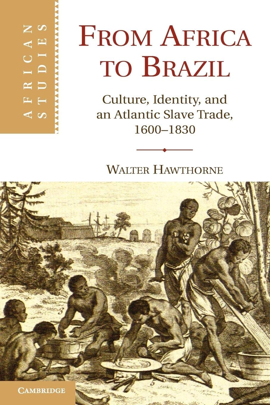 From Africa to Brazil: Culture, Identity, and an Atlantic Slave Trade, 1600–1830 (African Studies, Series Number 113)