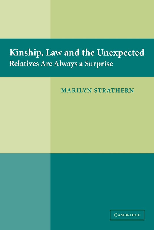 Kinship, Law and the Unexpected: Relatives are Always a Surprise - 3062