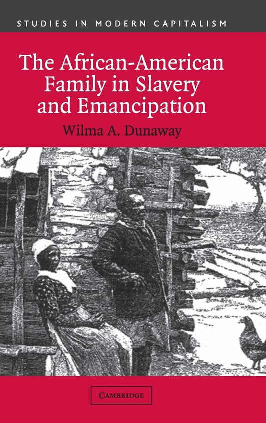 The African-American Family in Slavery and Emancipation (Studies in Modern Capitalism) - 7996