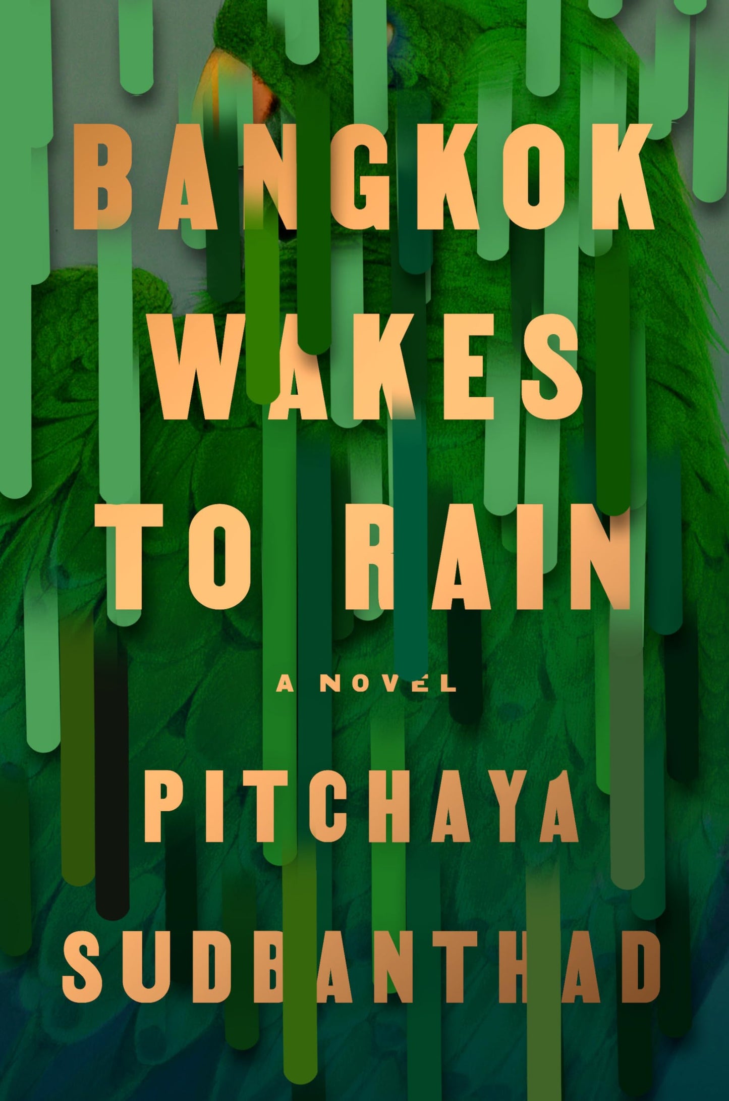Bangkok Wakes to Rain: A Novel - 3147
