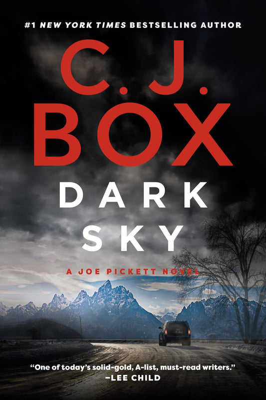 Dark Sky (A Joe Pickett Novel)