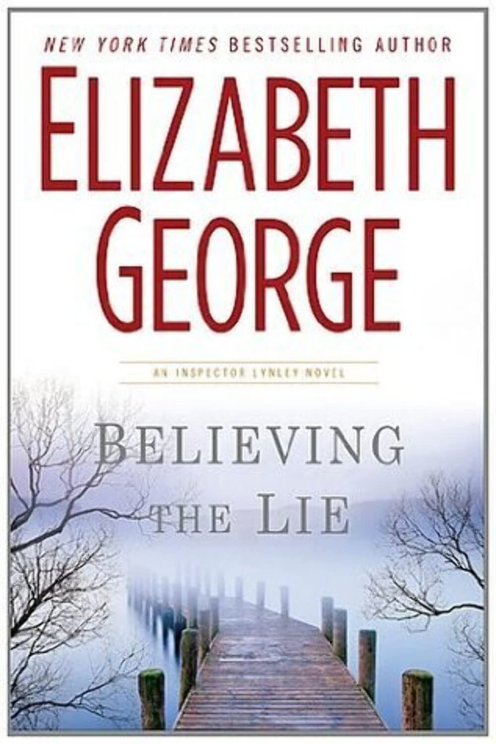 BELIEVING THE LIE (INSPECTOR LYN - 6149