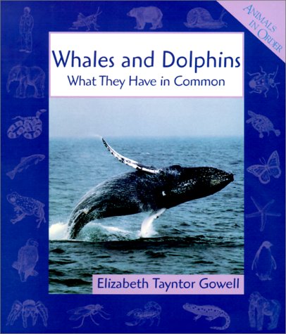 Whales and Dolphins: What They Have in Common (Animals in Order)