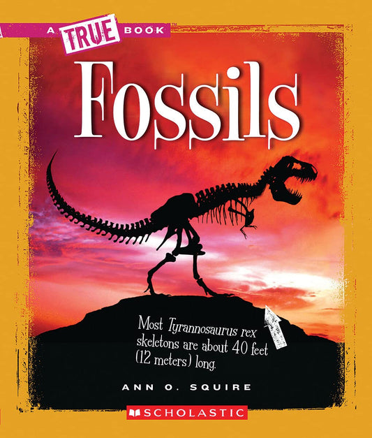 Fossils (A True Book: Earth Science) - 6643