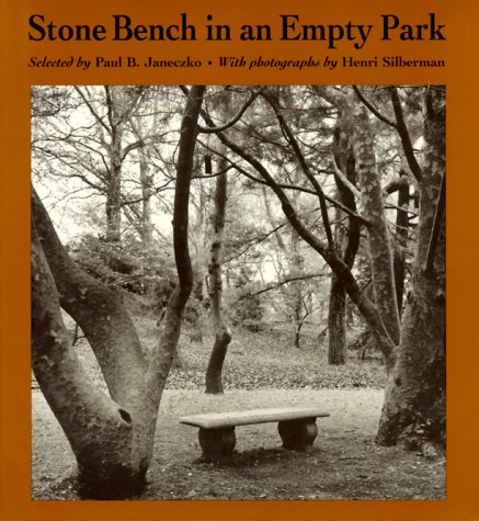 Stone Bench In An Empty Park