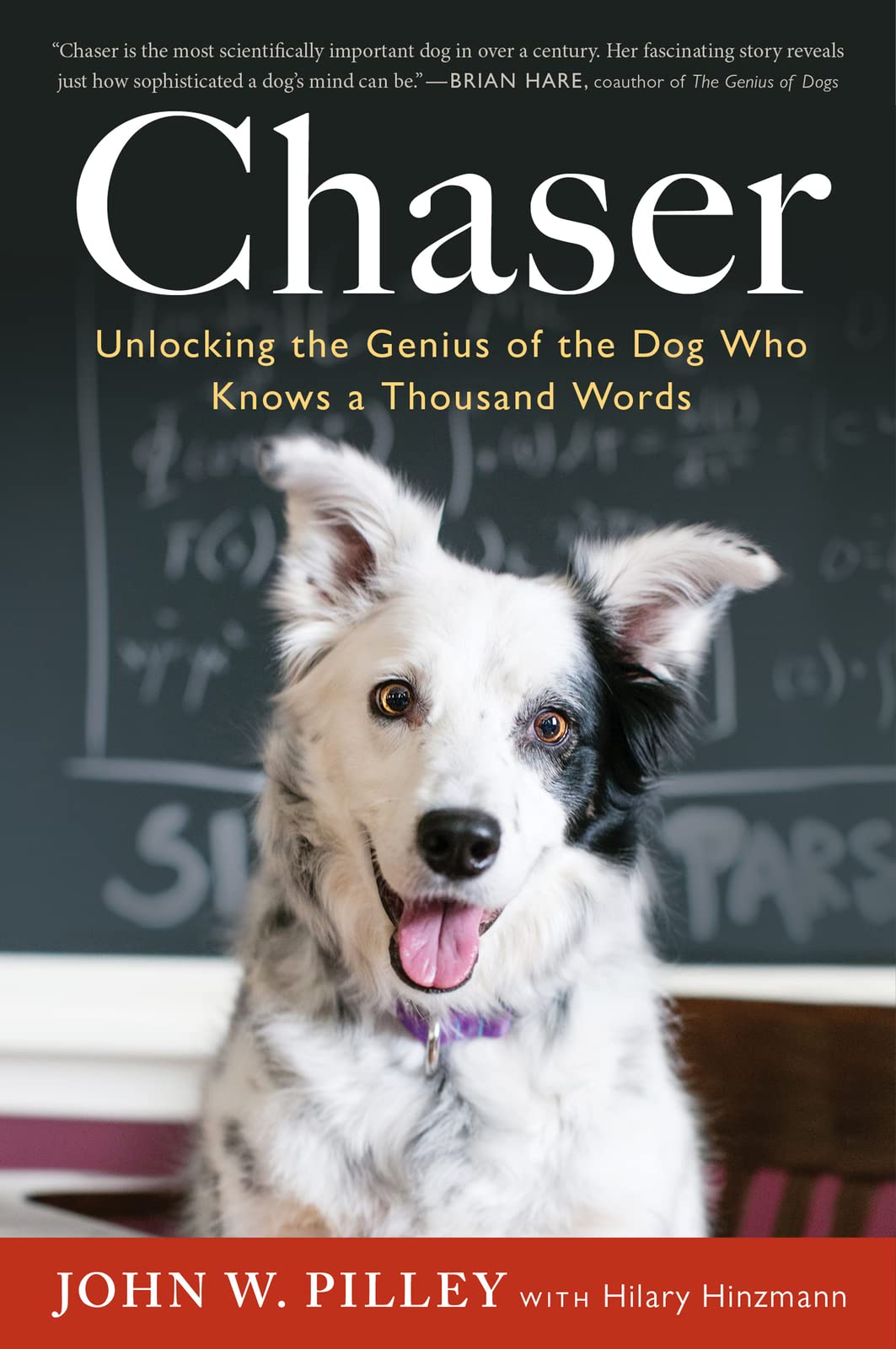 Chaser: Unlocking the Genius of the Dog Who Knows a Thousand Words – The NYT Bestselling Story of Border Collie Intelligence